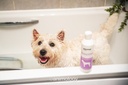 ANIMOLOGY ESSENTIALS SENSITIVE SHAMPOO PARA PERROS 250ML