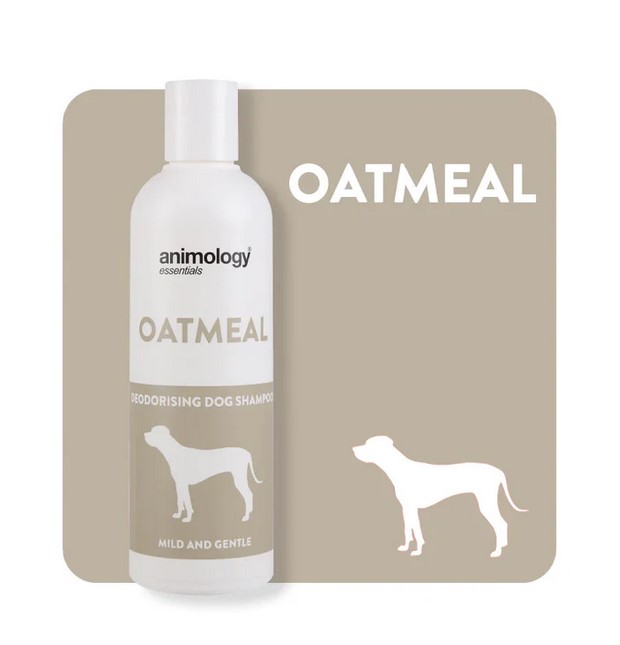ANIMOLOGY ESSENTIALS OATMEAL SHAMPOO PARA PERROS 250ML