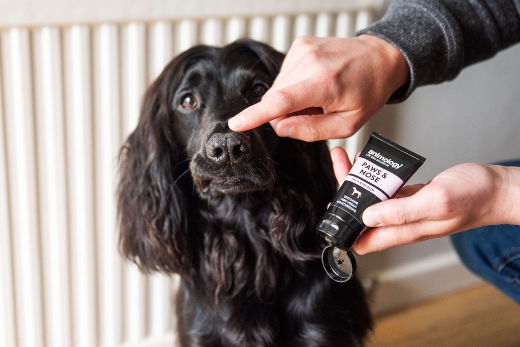 ANIMOLOGY PAWS AND NOSE BALM PARA PERROS 50ML