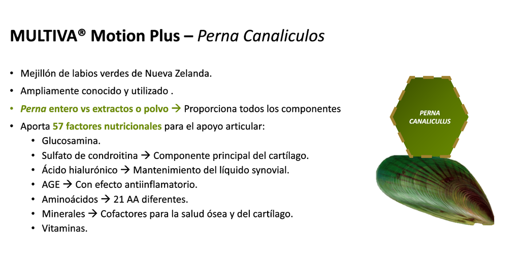 MULTIVA MOTION PLUS FOR DOGS 30UN