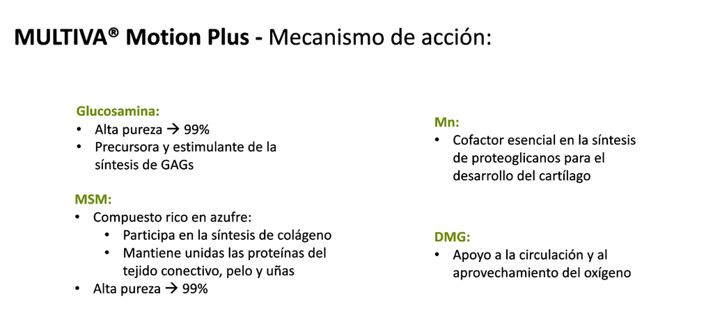 MULTIVA MOTION PLUS FOR DOGS 30UN