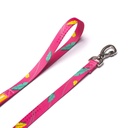 CACHORREIROS SUPER GUIA CORREA GRANDE OLIVIA