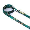 CACHORREIROS SUPER GUIA CORREA GRANDE SAMAUMA