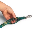 CACHORREIROS GUIA BABY CORREA CHICA SAMAUMA