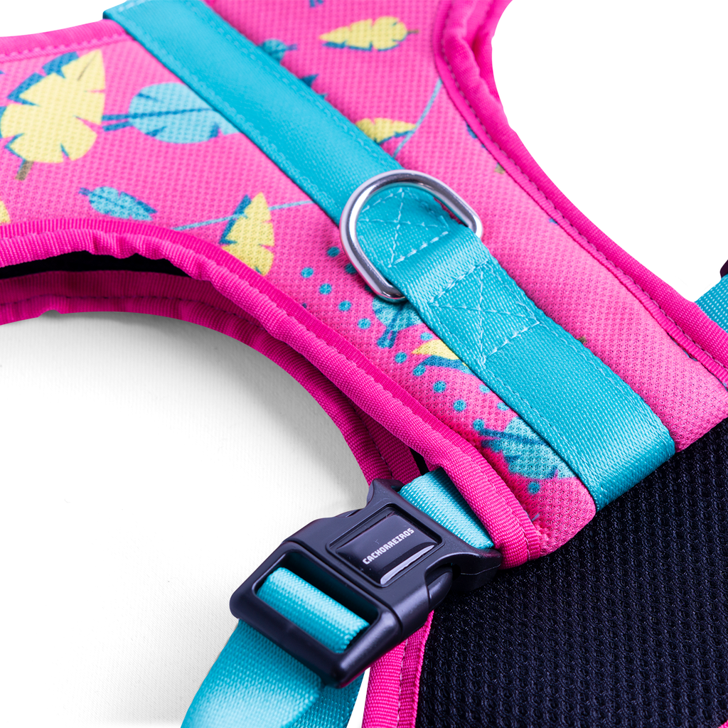 CACHORREIROS ARNES FLOW OLIVIA TALLA GG - XL