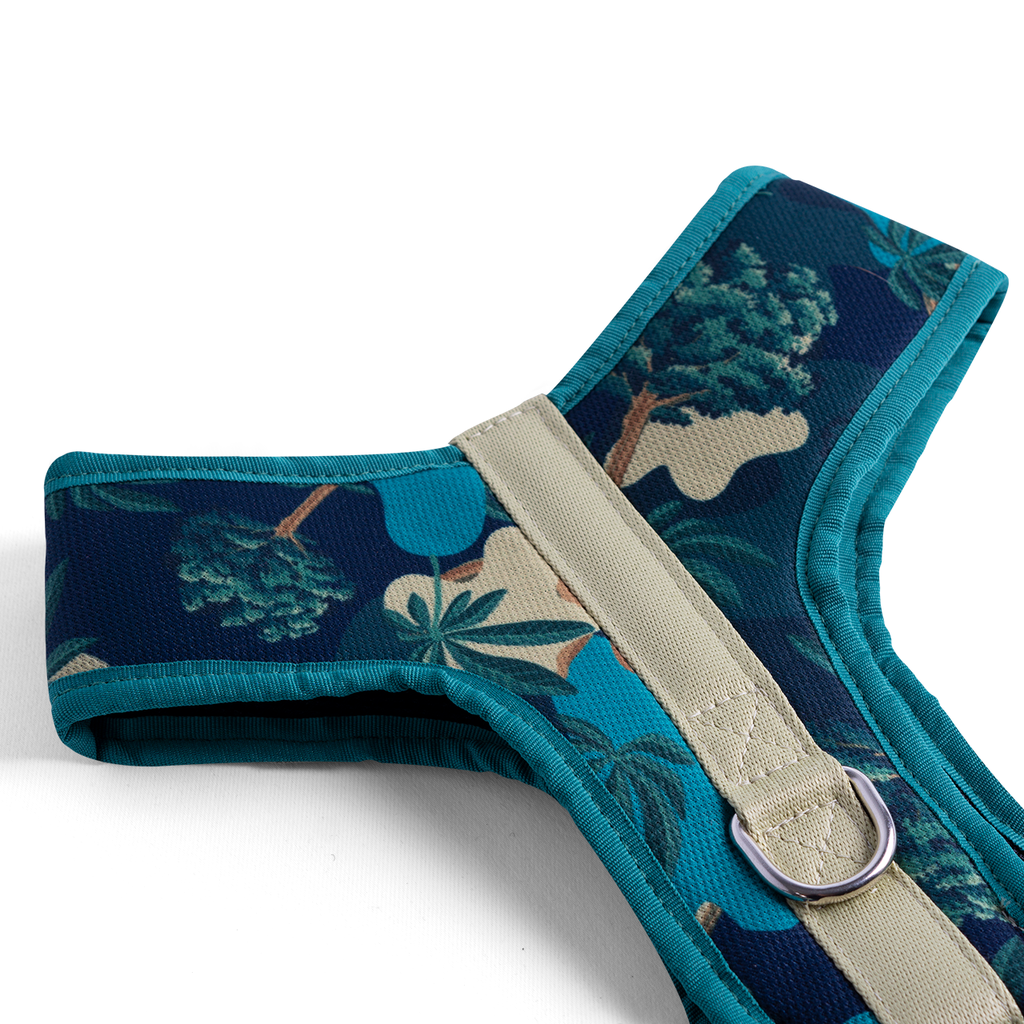 CACHORREIROS ARNES FLOW SAMAUMA TALLA G - L