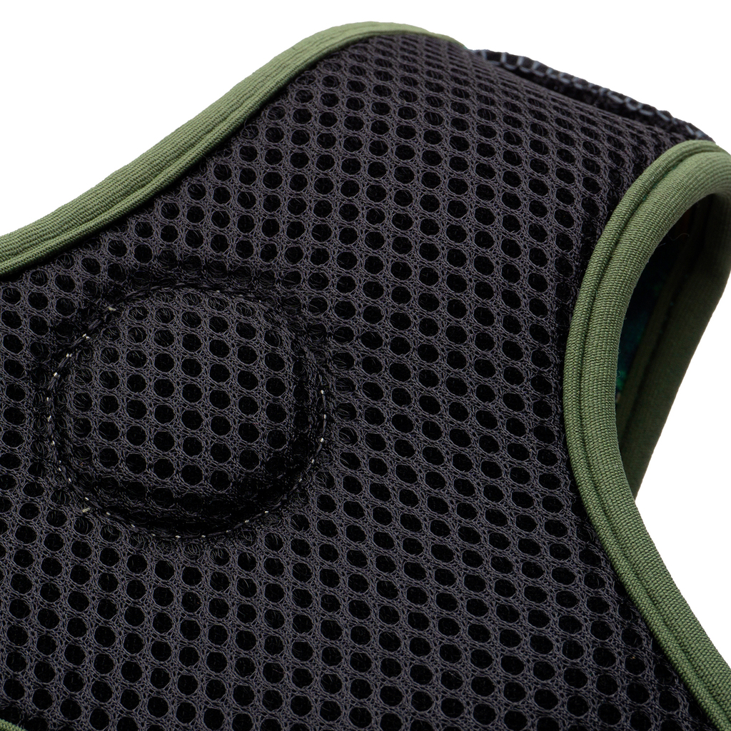 CACHORREIROS ARNES FLOW SAMAUMA TALLA P - S