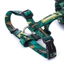 CACHORREIROS ARNES H SAMAUMA TALLA P - S