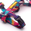 CACHORREIROS ARNES H DOGE TALLA P - S