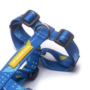 CACHORREIROS ARNES H INDIGO TALLA P - S