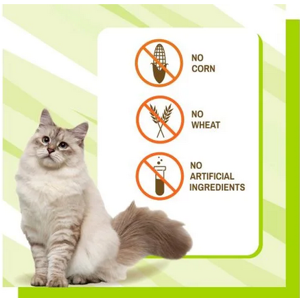 PROBIOTICOS GATOS 30UN (36G)