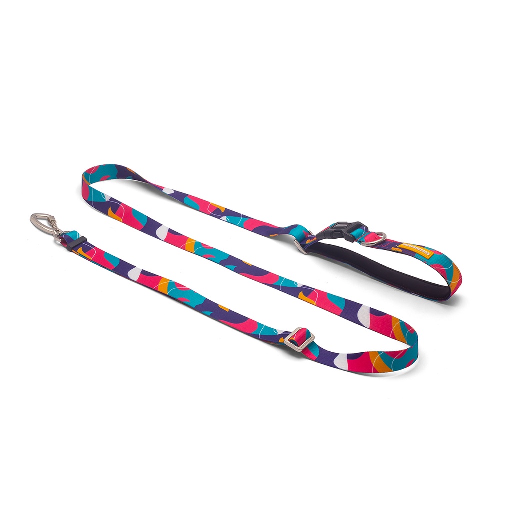 CACHORREIROS GUIA RUNNING CORREA RUNNING DOGE