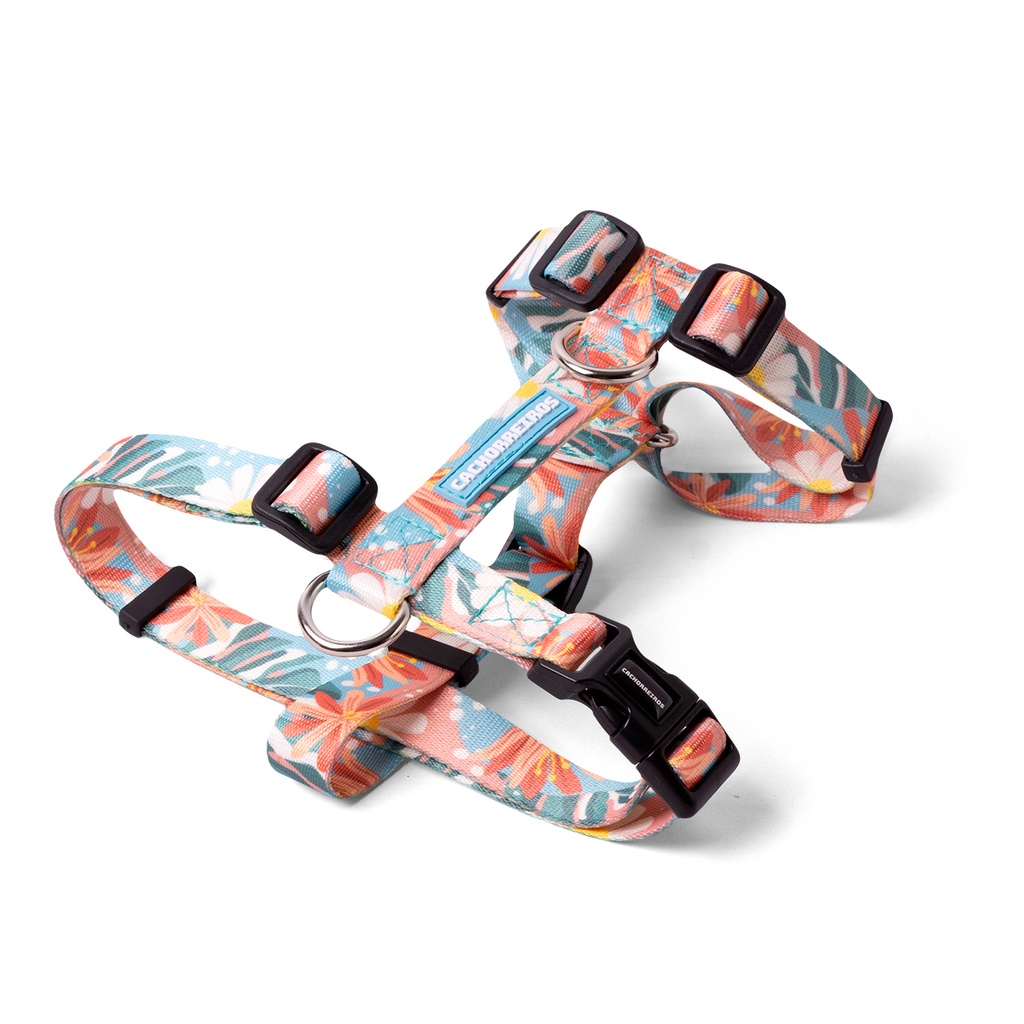 CACHORREIROS ARNES H FLORAL TALLA G - L