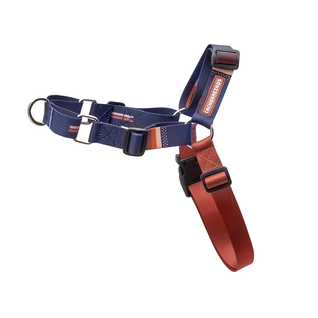 CACHORREIROS ARNES ANTITIRONES BOB E MARLEY TALLA G - L