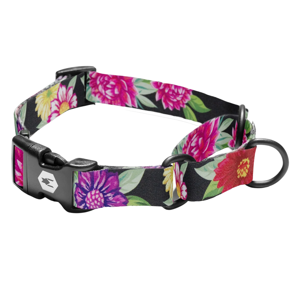 WOLFGANG COLLAR MARTINGALE DARKFLORAL M