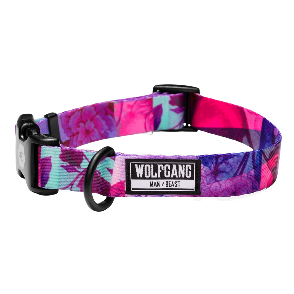 WOLFGANG COLLAR ANCHO DAYDREAM XL