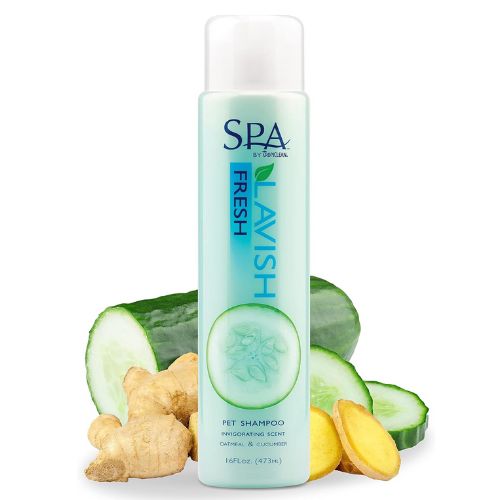 SPA FRESH SHAMPOO 473ML