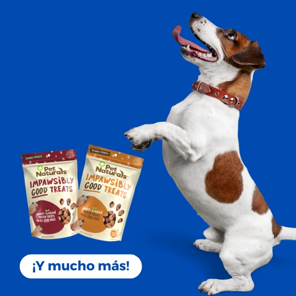 Perros / Snacks