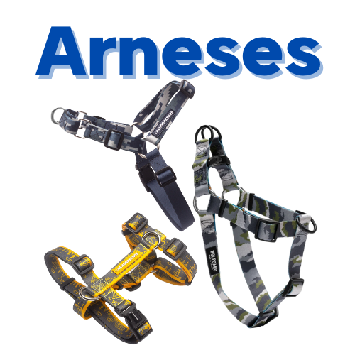 Perros / Accesorios / Arneses