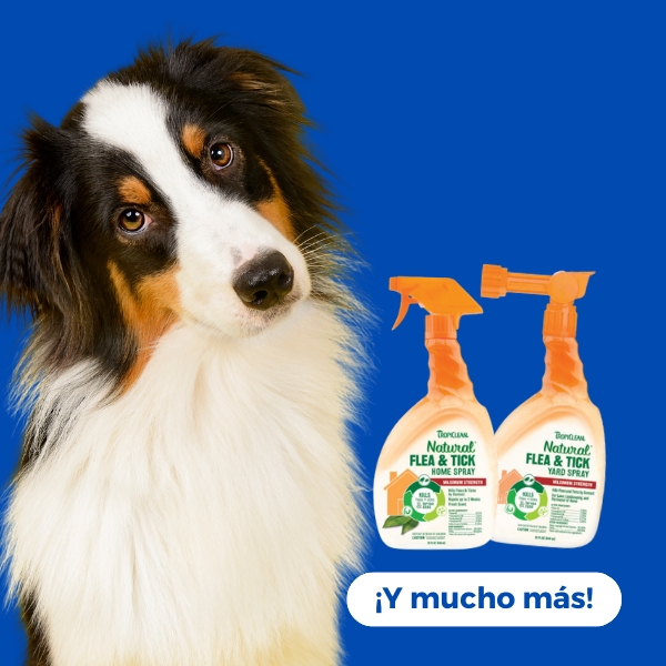 Perros / Anti Pulgas y Garrapatas