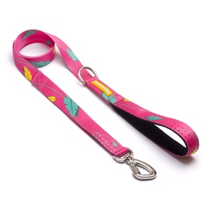 [CA-118] CACHORREIROS SUPER GUIA CORREA GRANDE OLIVIA