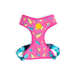 [CA-100] CACHORREIROS ARNES FLOW OLIVIA TALLA GG - XL