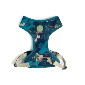 [CA-134] CACHORREIROS ARNES FLOW SAMAUMA TALLA PP - XS