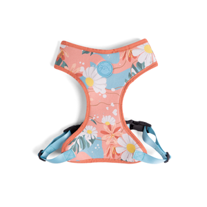 [CA-079] CACHORREIROS ARNES FLOW FLORAL TALLA M