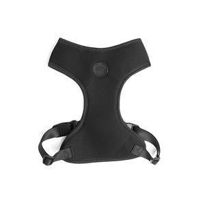 [CA-004] CACHORREIROS ARNES FLOW BLACK TALLA PP - XS