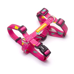 [CA-101] CACHORREIROS ARNES H OLIVIA TALLA PP - XS