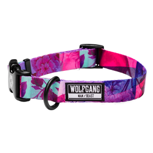 [WO-119] WOLFGANG COLLAR ANCHO DAYDREAM L